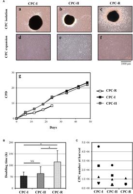 Exosomes From Human Cardiac Progenitor Cells for Therapeutic Applications: Development of a GMP-Grade Manufacturing Method